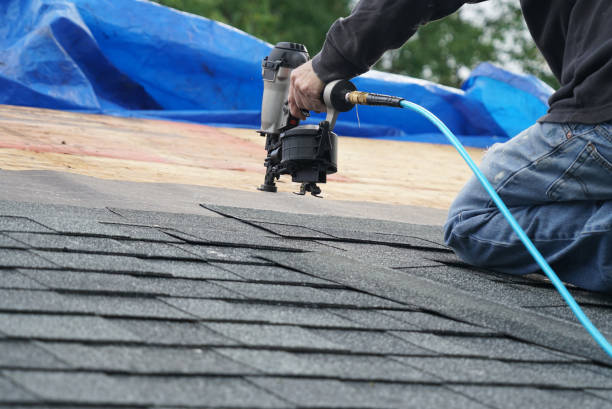 Roof Gutter Cleaning in Canby, OR